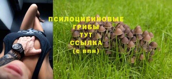 молекула духа Абинск