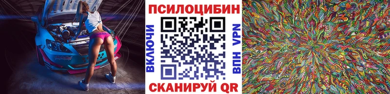как найти закладки  Тайга  Псилоцибиновые грибы прущие грибы 